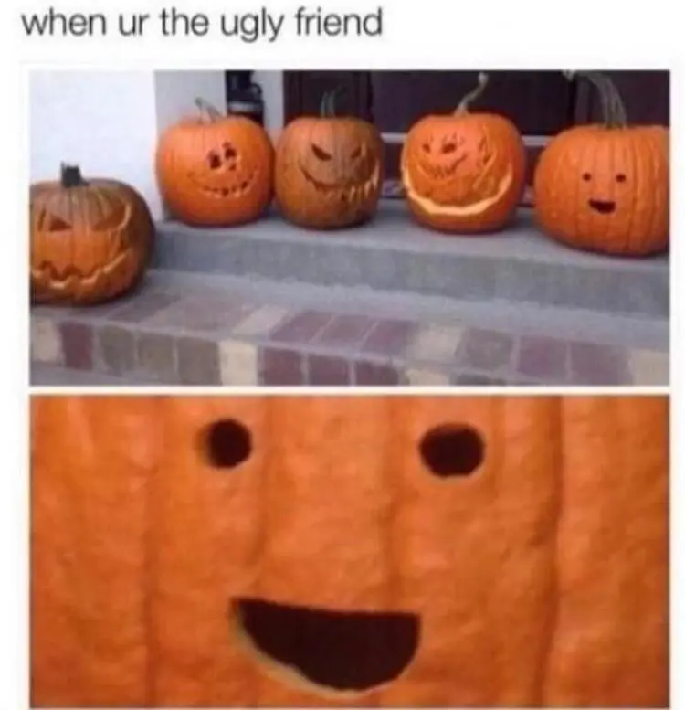 funny photos 10-31-2018