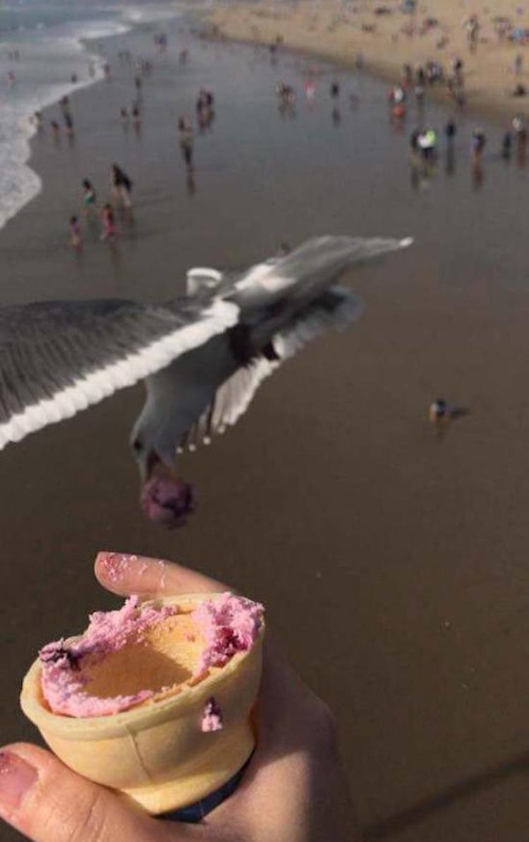 funny photos 10-5-18