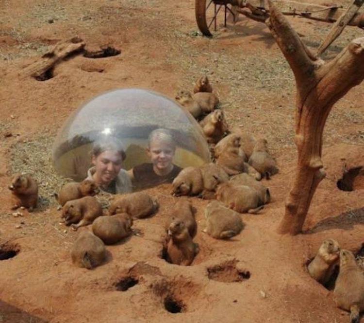 funny photos 10-4-18