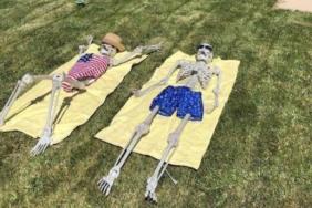 funny photos 10-9-18