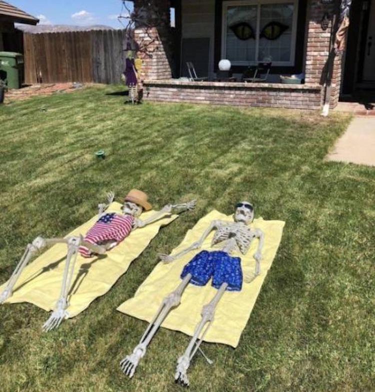 funny photos 10-9-18