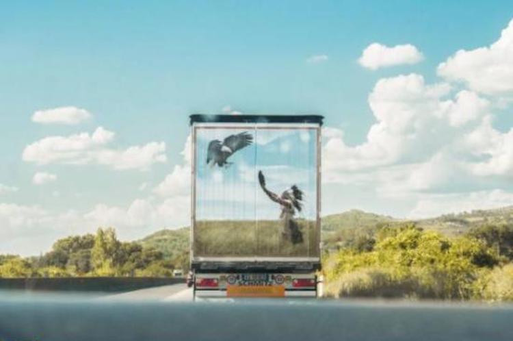 funny photos 10-25-18