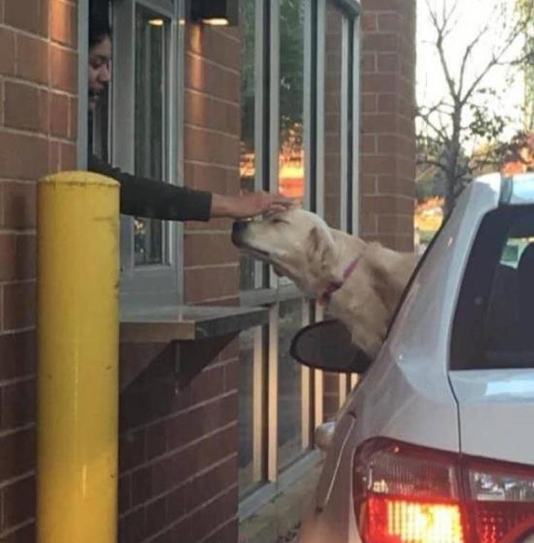 funny photos 10-31-2018