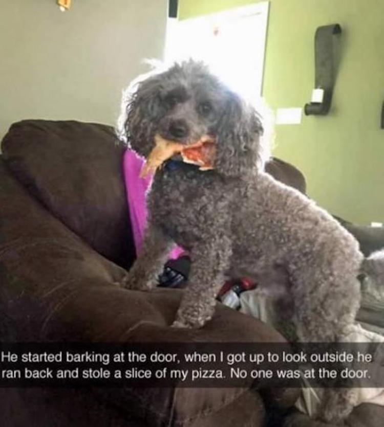 funny photos 10-16-18