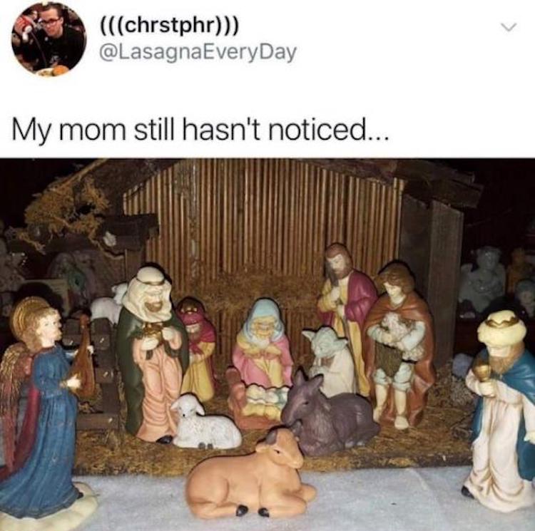 funny photos 10-8-18