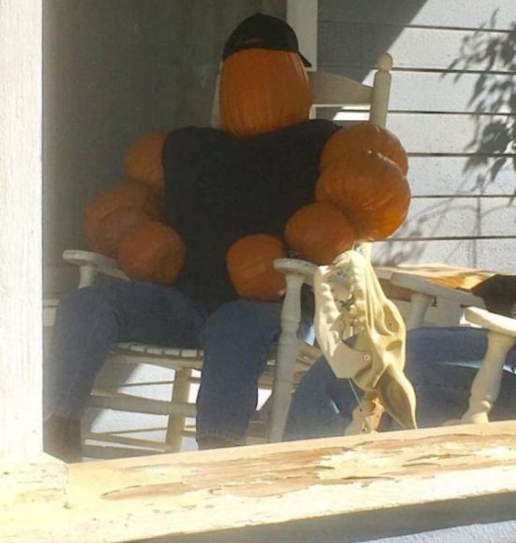 funny photos 10-22-18