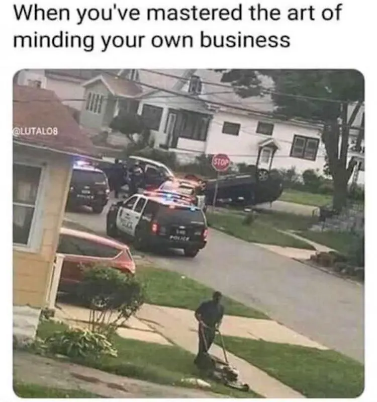 funny photos 10-15-18