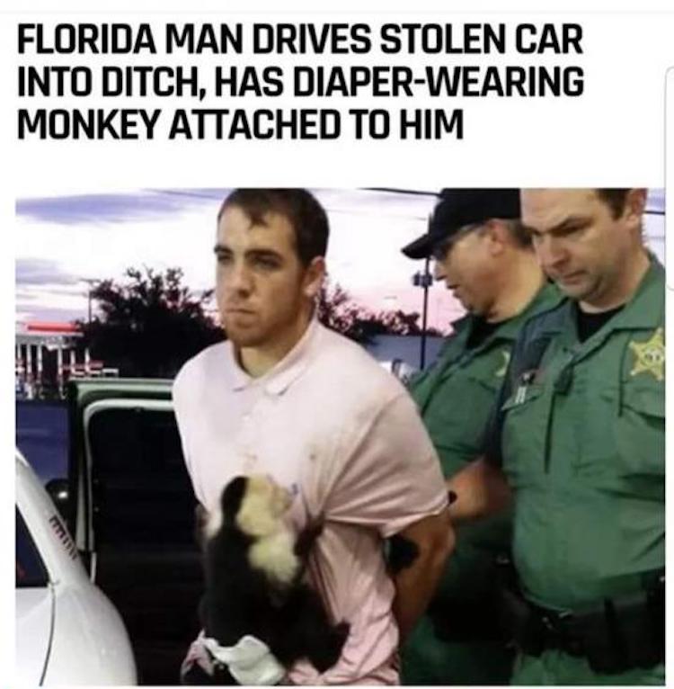 funny photos 10-8-18