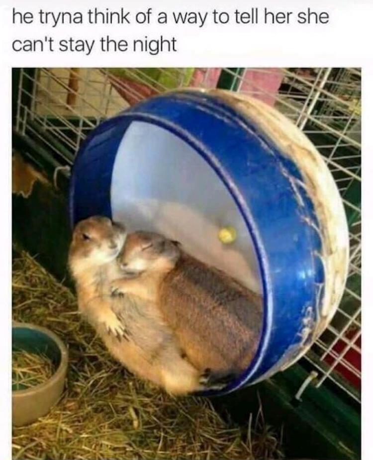 funny photos 10-8-18