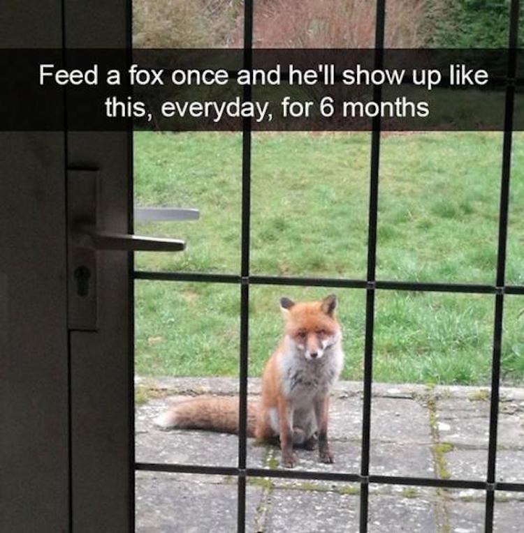 funny photos 10-18-18