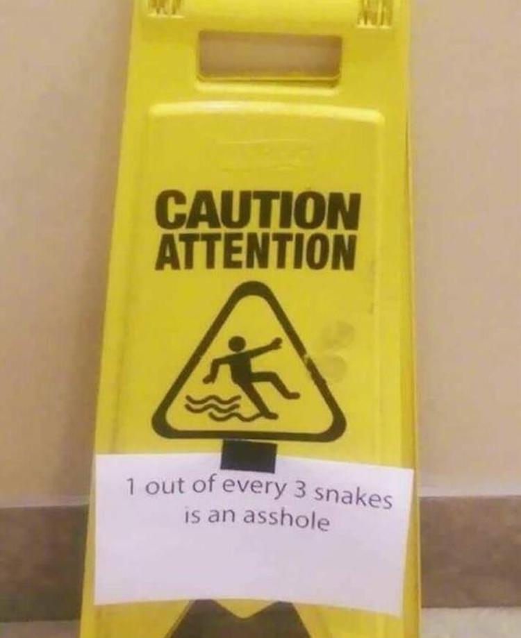 funny photos 10-3-18