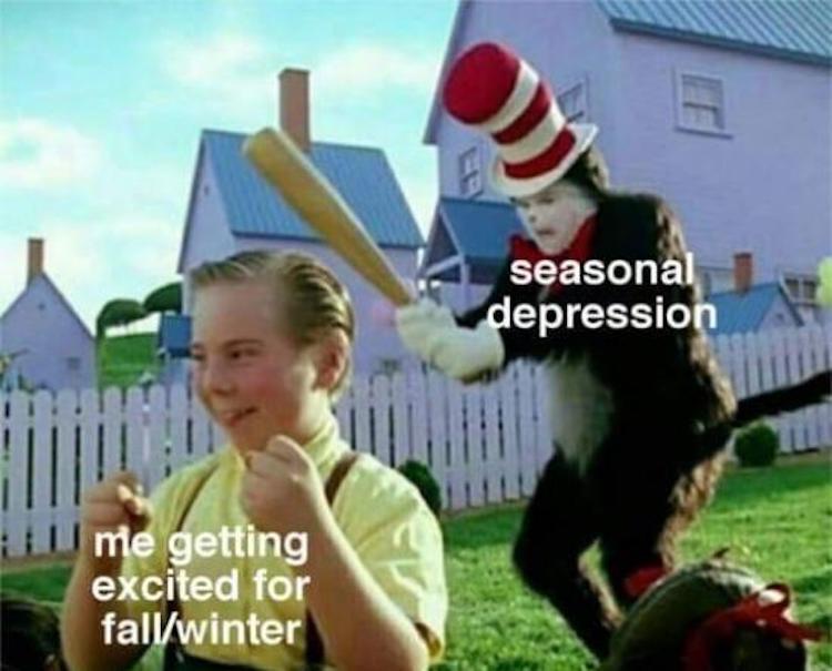 funny photos 10-2-18