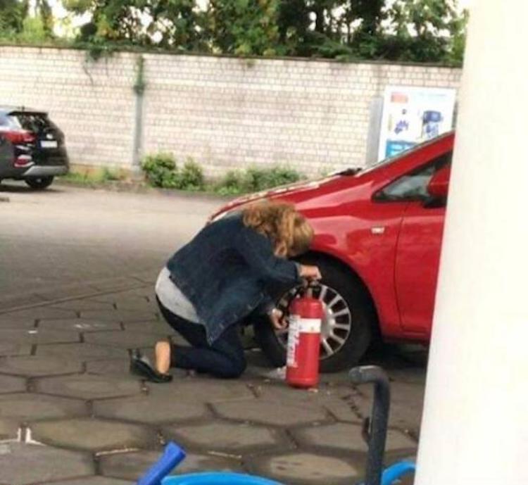 funny photos 10-30-2018