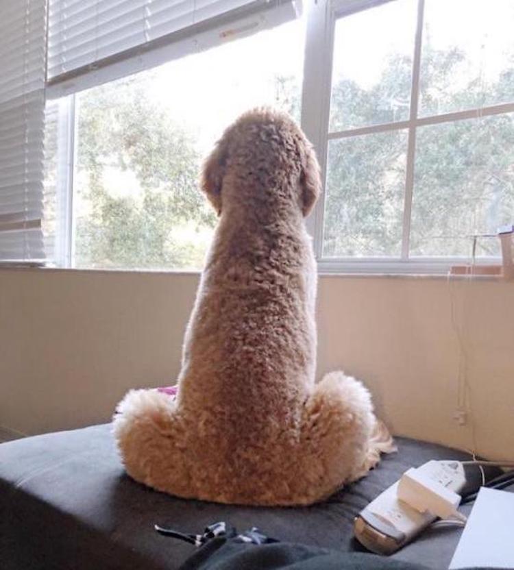 funny photos 10-9-18