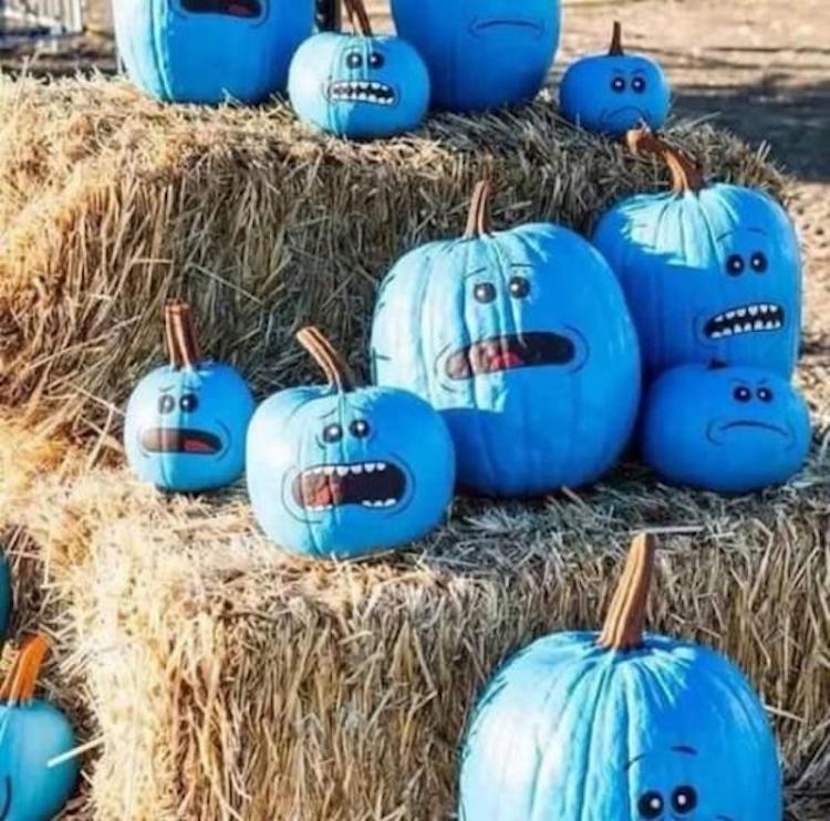 funny photos 10-2-18