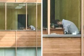 funny photos 10-19-18