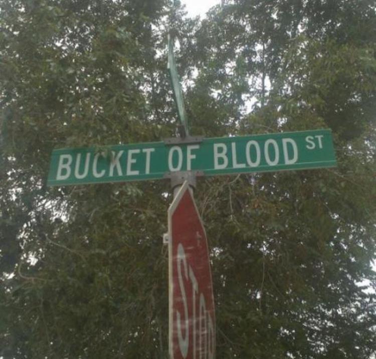 funny photos 10-17-18