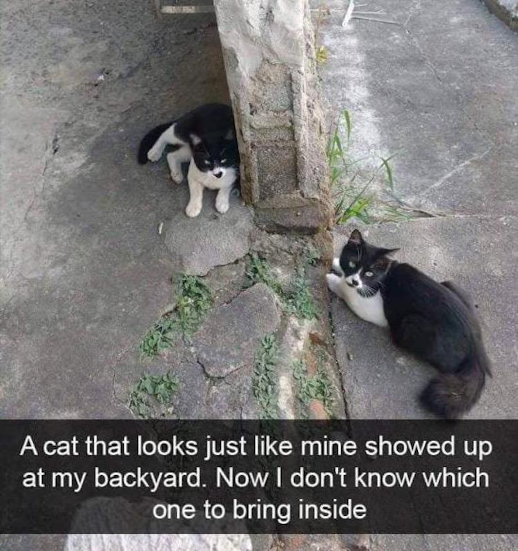 funny photos 10-9-18