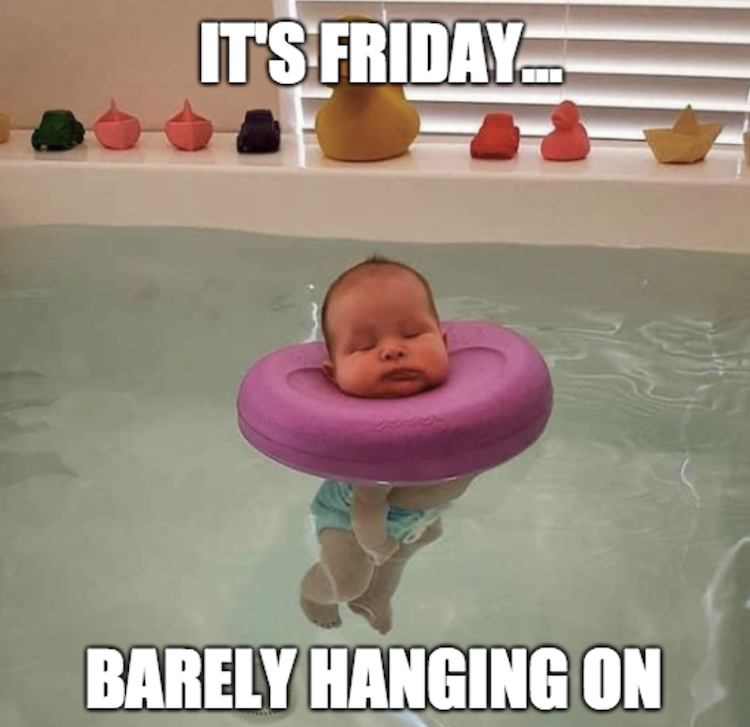 funny photos 11-9-2018