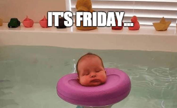 funny photos 11-9-2018