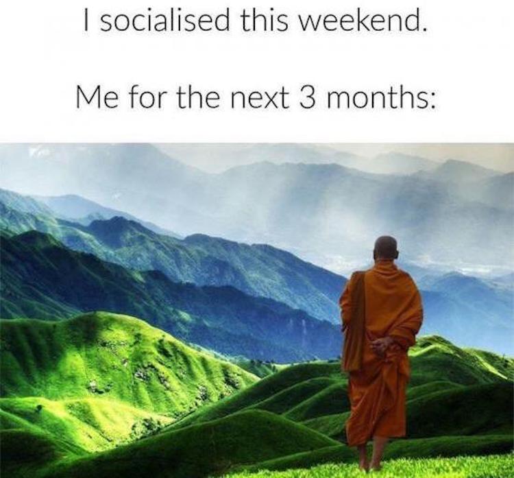 funny photos 11-7-2018
