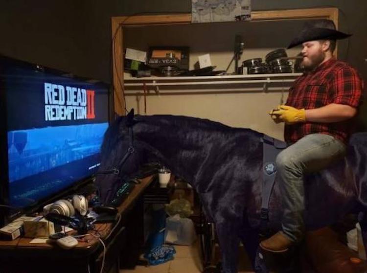 funny photos 11-9-2018