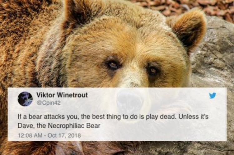 funny photos 11-1-2018
