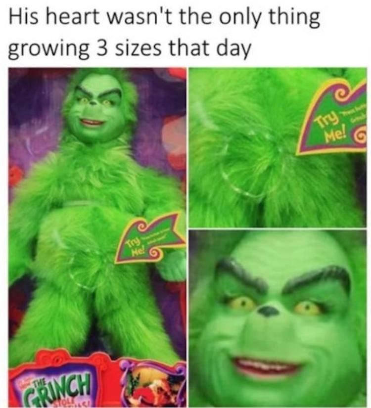 funny photos 11-7-2018