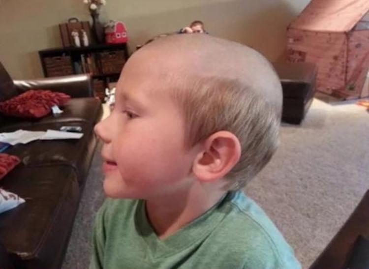 funny photos 11-9-2018