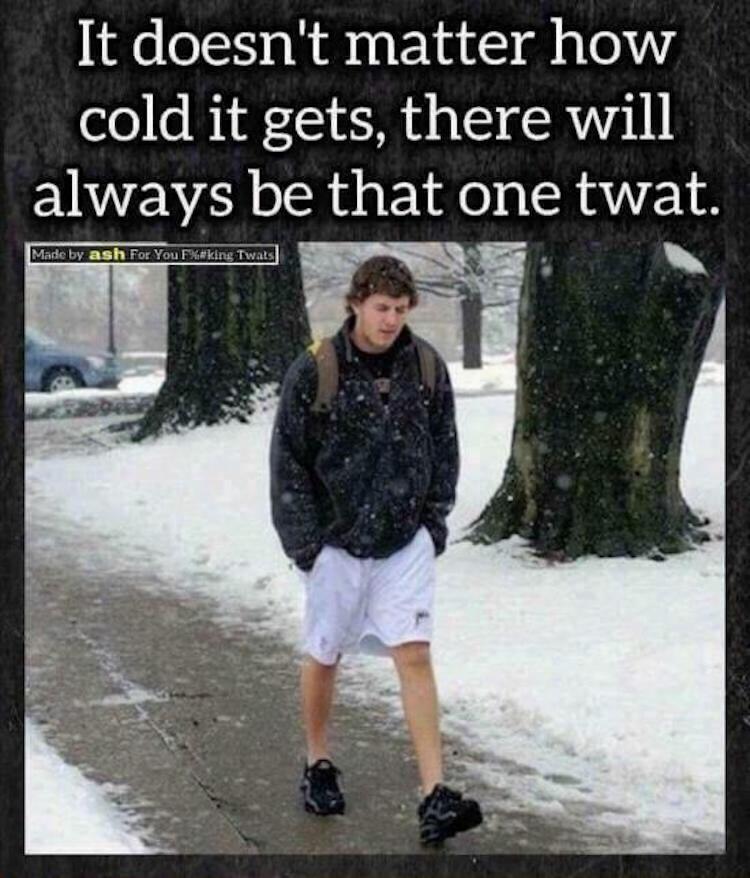 funny photos 11-1-2018