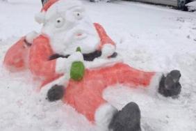 funny photos 12-6-18