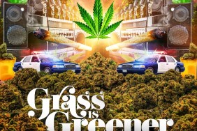 Weed Themed Movies For 4/20
