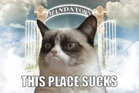 Grumpy Cat