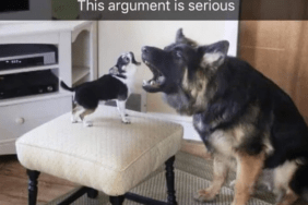 Funny Photos