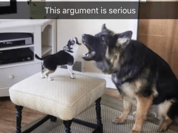 Funny Photos
