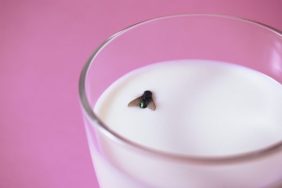 dairy