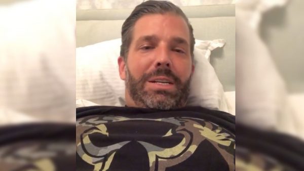 Don Jr