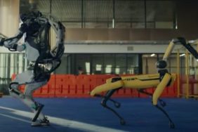 robots