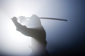 Ninja