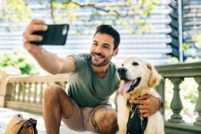 dogs