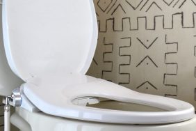 toilet seat