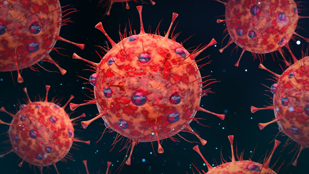 New COVID XEC variant health officials