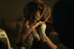 Here's Why John Wick Directors Fought to Keep Dog Death in Action Movie