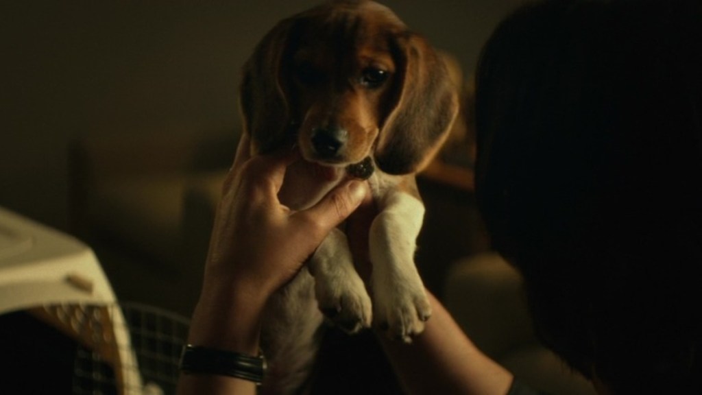 Here's Why John Wick Directors Fought to Keep Dog Death in Action Movie