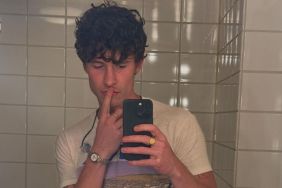 Shawn Mendes sexuality