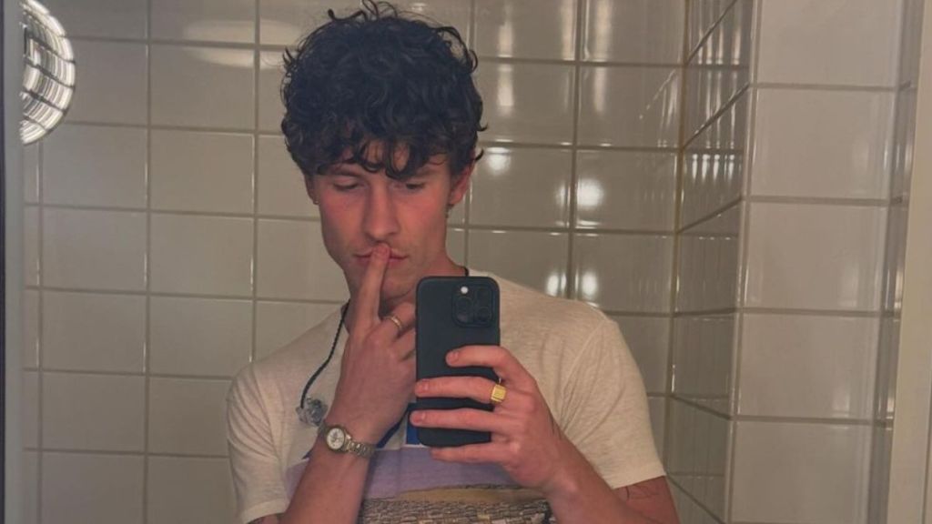 Shawn Mendes sexuality
