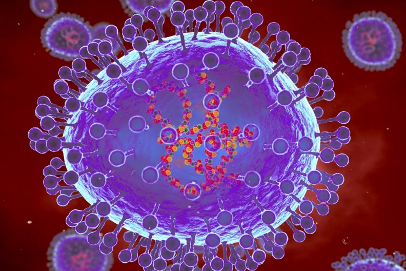 HMPV What New Virus Outbreak China Chinese Illness Disease