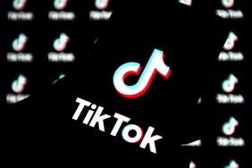 TikTok Microwave filter trend