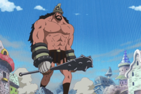 one piece chapter 1141