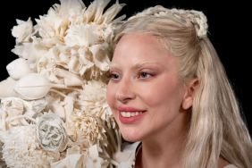 Lady Gaga Hot Ones